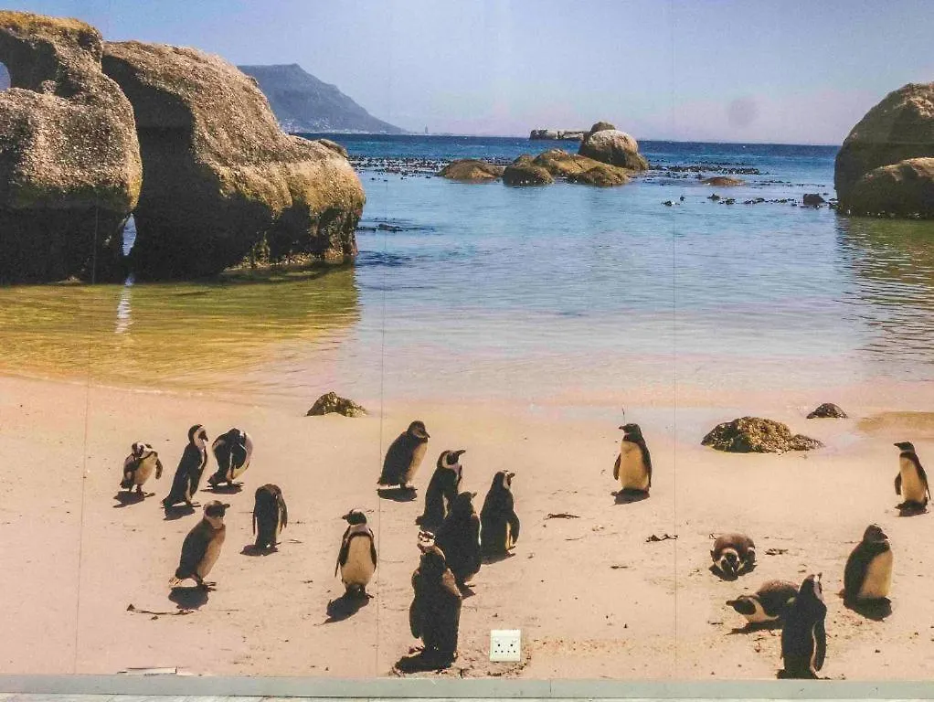 Centurion 207 Luxury Sea Point One Bedroom Apartment With Access To Magnificent Pool Perfect Location By Super Host Melvyn Cape Town